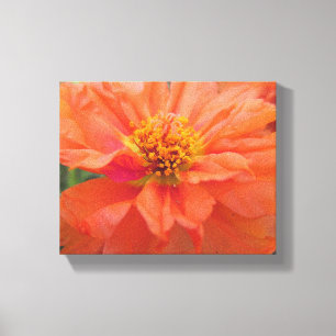 Toile Portulaca orange
