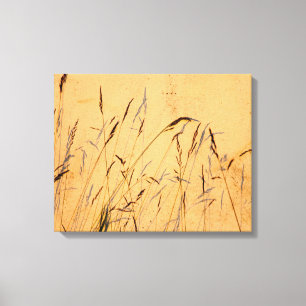 Toile Poster Acrylique Carte Postale Grasses Et Ombres D