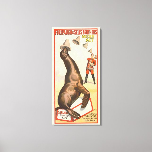 Toile Poster De Cirque Montrant Un Lion De Mer Casquette (Recto)
