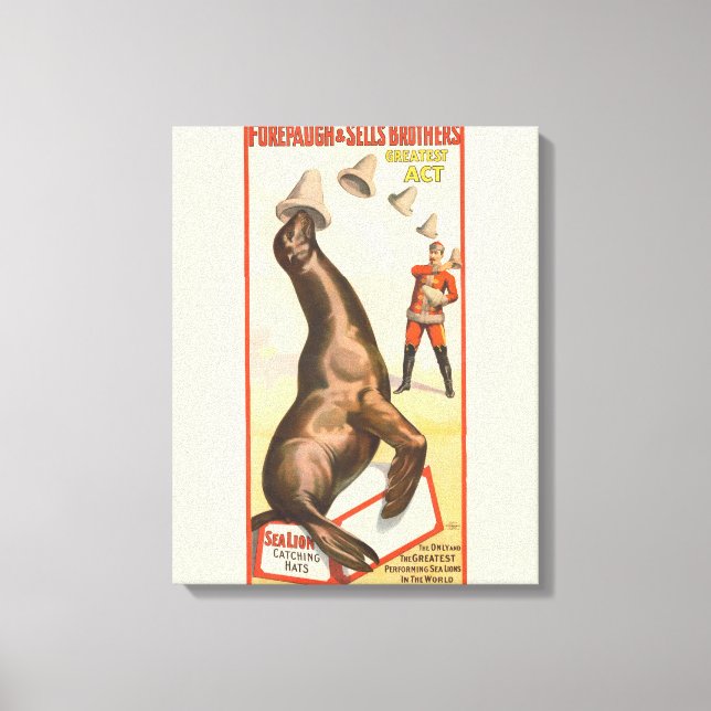 Toile Poster De Cirque Montrant Un Lion De Mer Casquette (Recto)