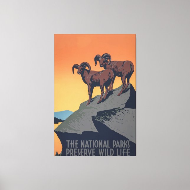 Toile Poster du coucher de soleil du mouton de Bighorn (Recto)