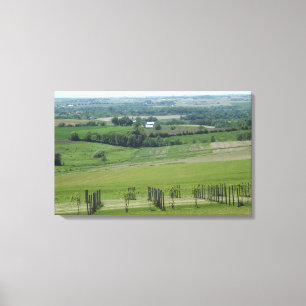 Toile Poster du vignoble de Platteville, Wisconsin Grape