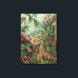 Toile Poster vintage Ernst Haeckel Moss<br><div class="desc">Vintage Ernst Haeckel Moss</div>