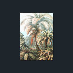 Toile Poster vintage Ernst Haeckel Palm Trees<br><div class="desc">Palmiers vintages Ernst Haeckel</div>