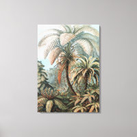 Poster vintage Ernst Haeckel Palm Trees