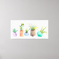 Pot de succulents