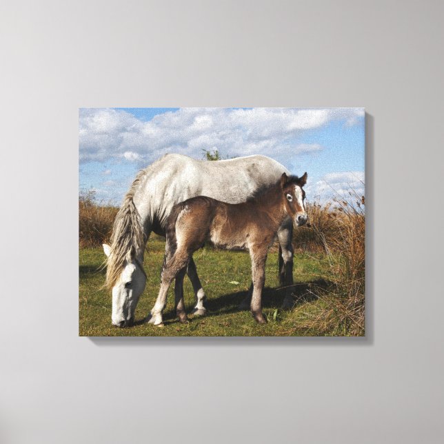 Toile Poulain du cheval de Camargue avec sa mère (Recto)