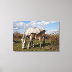 Toile Poulain du cheval de Camargue avec sa mère