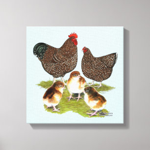 Toile Poule de la famille Jubilé d'Orpington