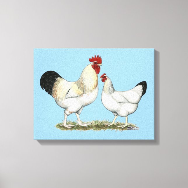 Toile Poulets de la rivière Indian (Recto)