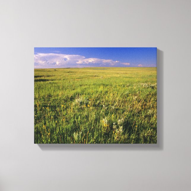 Toile Prairie à herbe courte dans le nord-est éloigné (Recto)