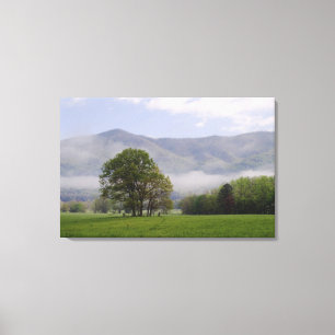 Toile Prairie brumeuse et Rich Mountain, Cades Cove,