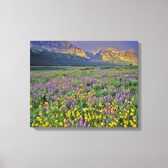 Toile Prairie de fleurs sauvages dans Many glacier (Recto)