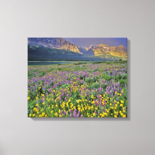 Toile Prairie de fleurs sauvages dans Many glacier