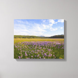 Toile Prairie de fleurs sauvages de penstemon dans la