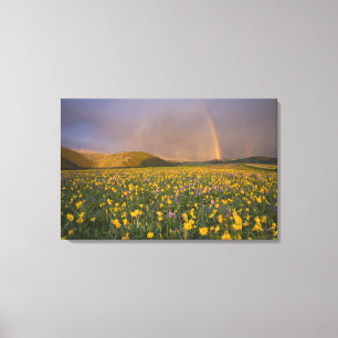 Toile Prairie de fleurs sauvages spectaculaire au lever 