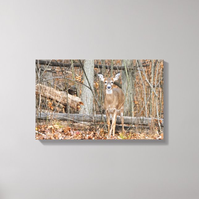 Toile Précieux (Recto)