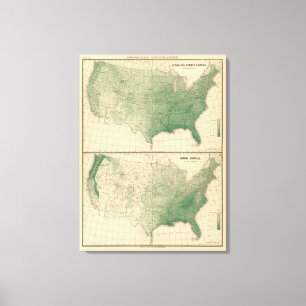 Toile Précipitations