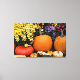 Toile Présentation colorée de citrouilles décoratives d'