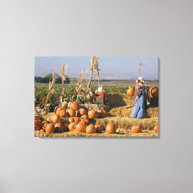 Toile Présentation de citrouilles avec des ballots de fo (Recto)
