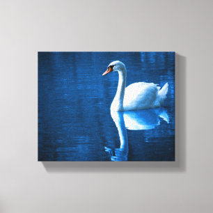 Toile Pretty white swan floating on blue lake