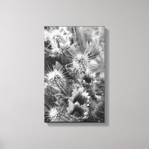 Toile Prickly Cactus Flowers Desert B&W Photo Art Prints