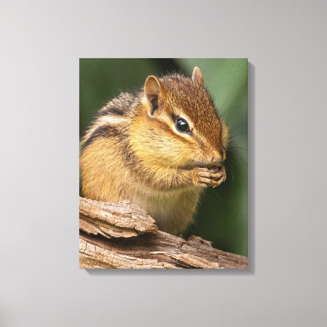 Toile Prière Chipmunk (Recto)