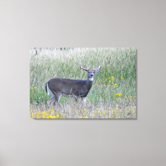 Toile Prince of the Meadow (Cerf) Imprimer