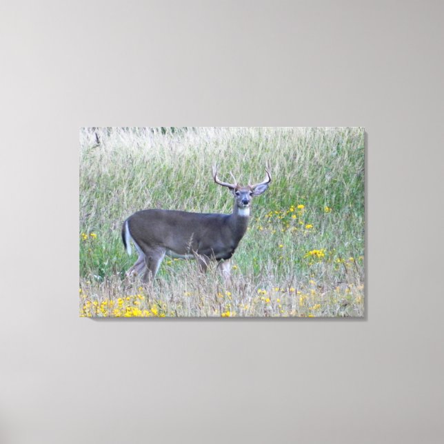 Toile Prince of the Meadow (Cerf) Imprimer (Recto)