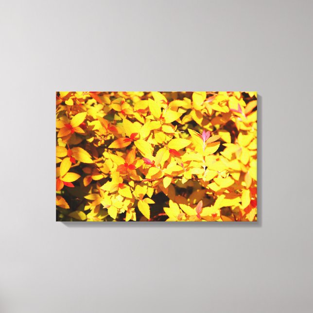 Toile Printemps à l'Arboretum 6 (Recto)