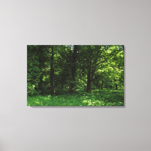 Toile Printemps dans les bois 02 (Recto)