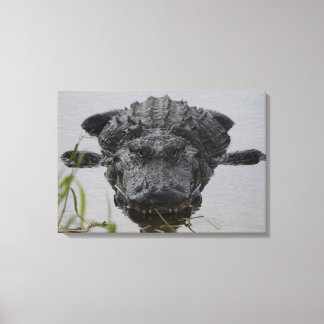 Toile Proche et personnel