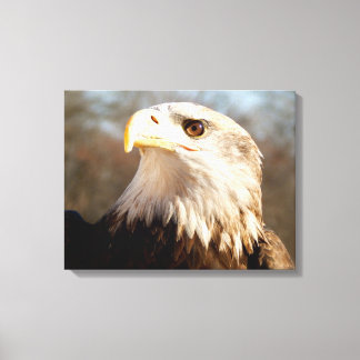 Toile Profil d'aigle à tête blanche