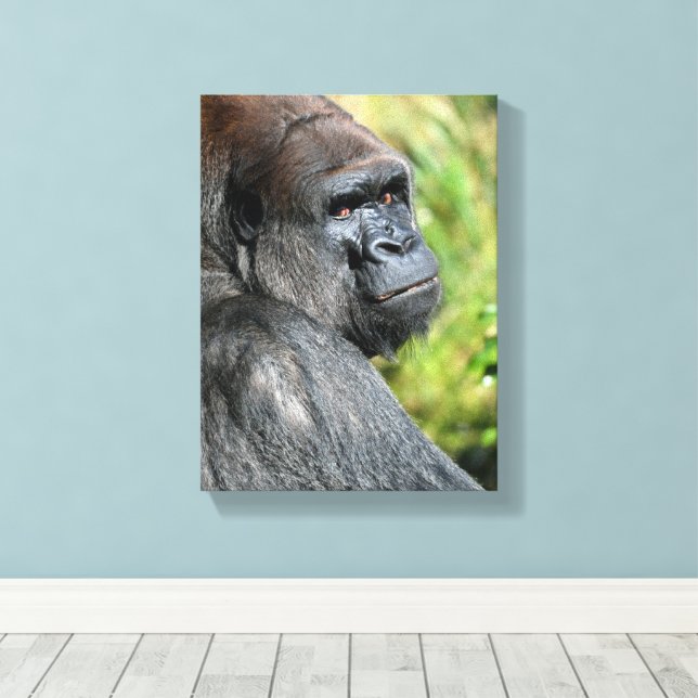 Toile Profil de Gorilla (Insitu (Plancher de Bois))