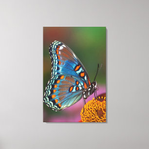 Toile Profil de papillon sur une fleur