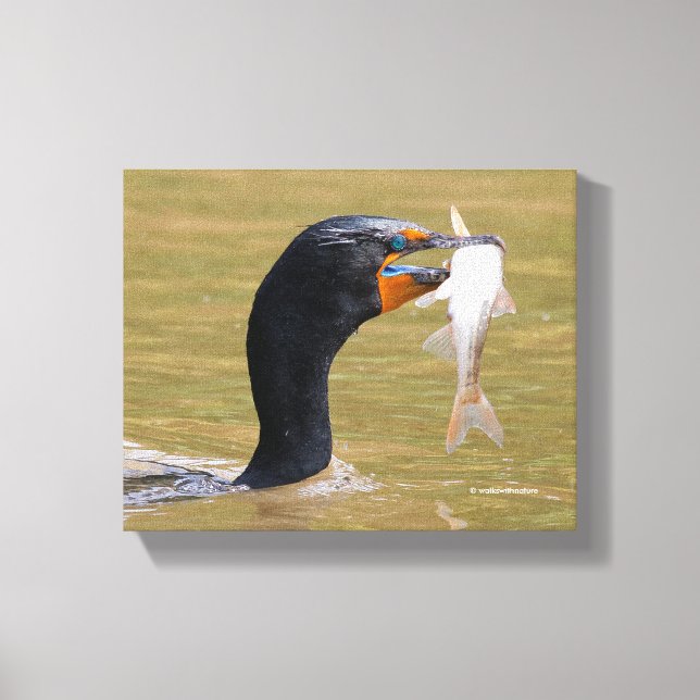 Toile Profil d'un cormorant adulte à deux crêtes (Recto)