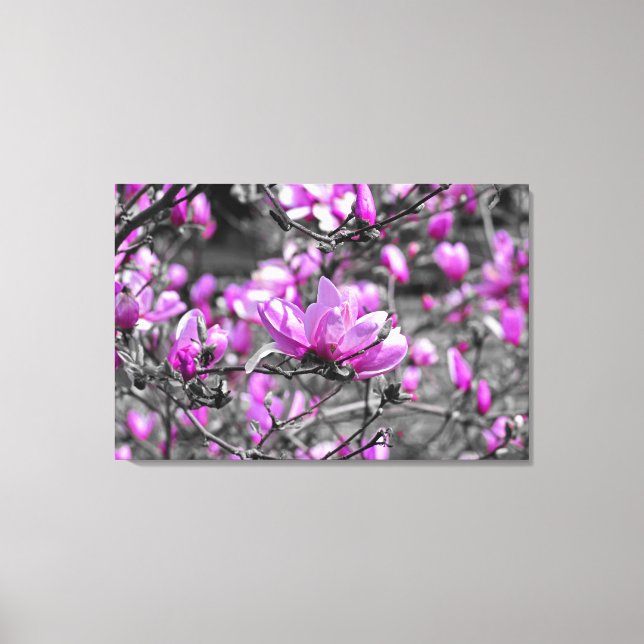 Toile Profuse Magnolia Blooms Triptyque (Recto)
