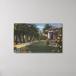 Toile Promenade ombragée par paume de CaliforniaA