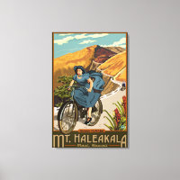 Promenades à vélo du mont Haleakala Hawaii