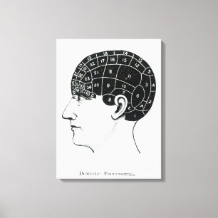 Toile Propensions domestiques