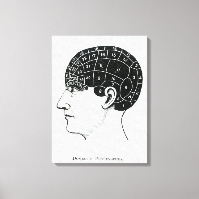 Toile Proportions domestiques (Recto)