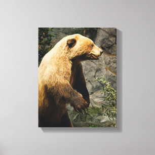 Toile Proud Bear