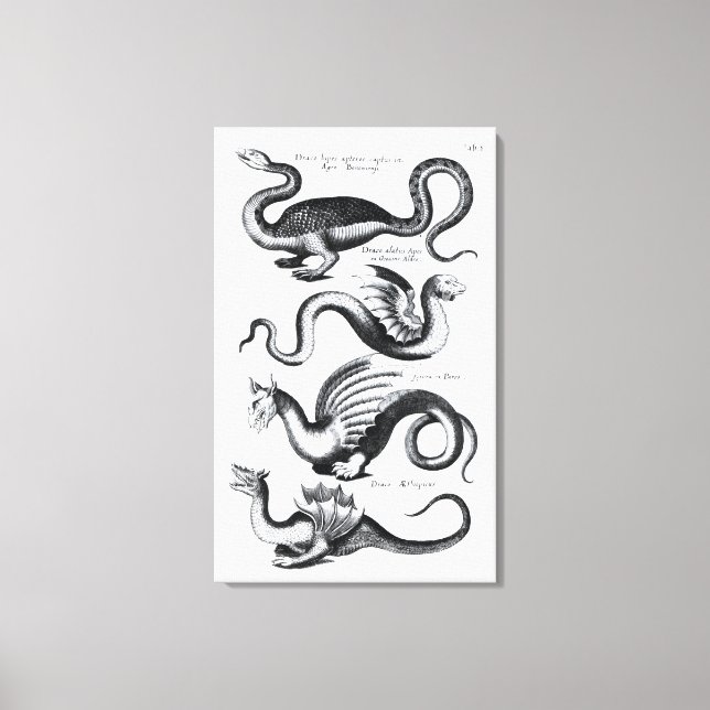 Toile Quatre types de dragon (Recto)