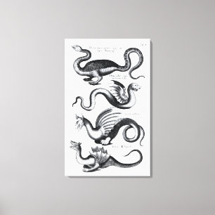 Toile Quatre types de dragon