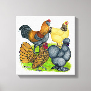 Toile Quatuor Bantam