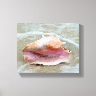 Toile Queen Conch sur la plage