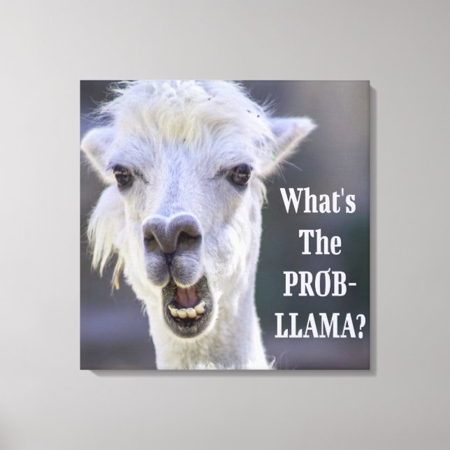 Toile Qu'est-ce que le Prob-Llama ? Jote Drôle LLAMA (Recto)