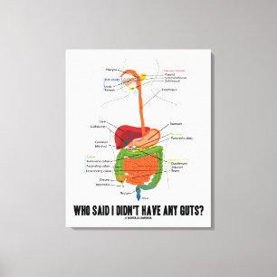 Toile Qui A Dit Que Je N'Avais Pas De Coups ? Système di