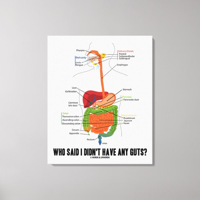 Toile Qui A Dit Que Je N'Avais Pas De Coups ? Système di (Recto)