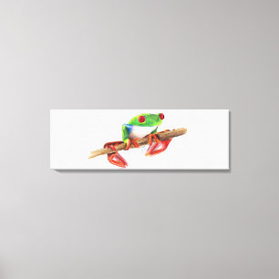 Toile Rainette arboricole grenouille arboricole illustra